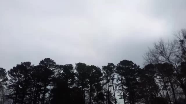 REAL Apolitical News/End of Days Discussion 3/13/22