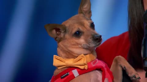 Pam Performs "All by Myself" with Her Incredible Singing Dog Casper - America's Got Talent 2022