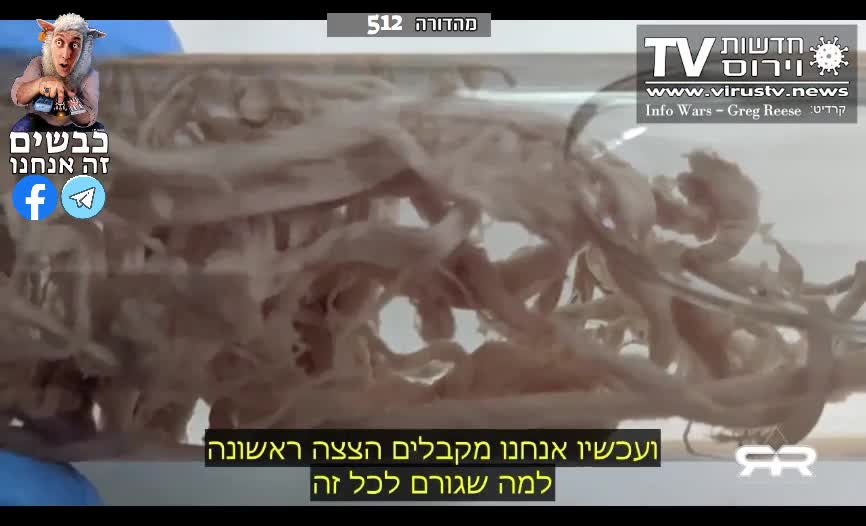 20% increase in mortality rate in many countries