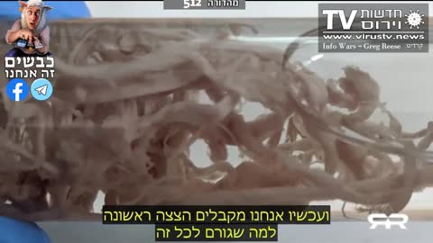 20% increase in mortality rate in many countries