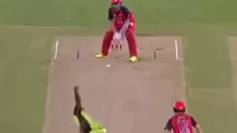 Incredible short by this batsman 🏏🏏