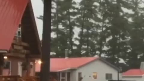 Lightning strikes a house, a car and a tree⚡