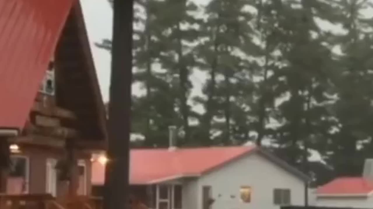 Lightning strikes a house, a car and a tree⚡