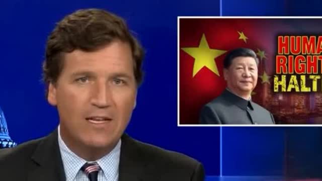 WOW Shanghai’s Brutal Lockdowns COMING TO AMERICA, killing cats, and building camps