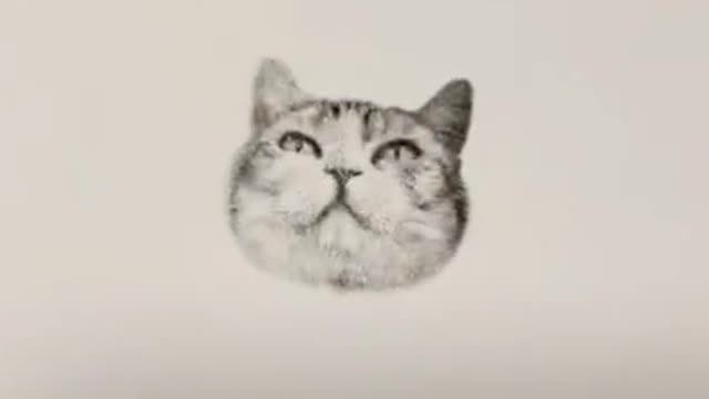 One of a kind cat stamp!! @happyandpolly #cat #catsupplies #pet #catsoftiktok #cutecat #fyp #catstam