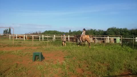 Molokai Bare Back