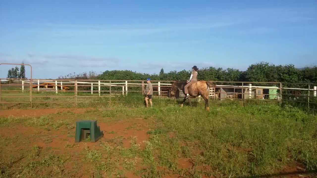 Molokai Bare Back