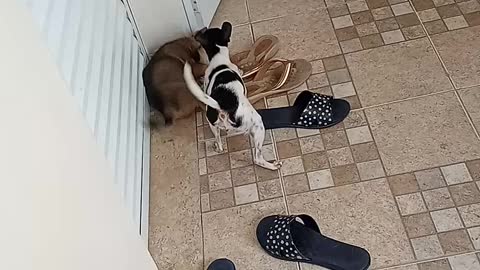 and the little one strikes again