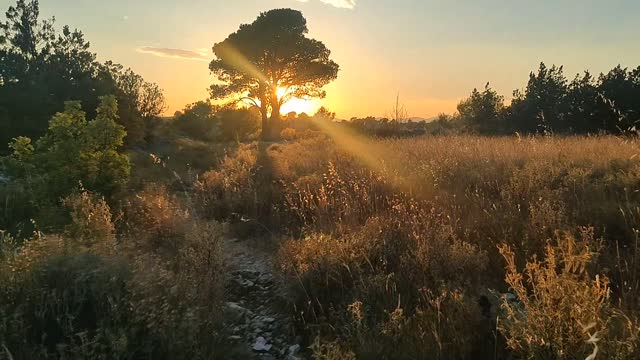 Helios