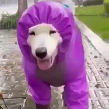 But dry and clean:Зато сухой и чистый