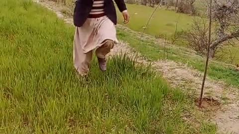 Watch videos