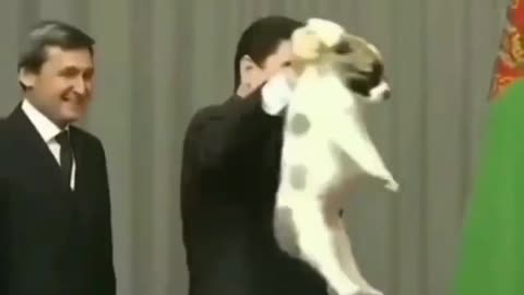 Vladimir Putin PM reaction- loved dogs