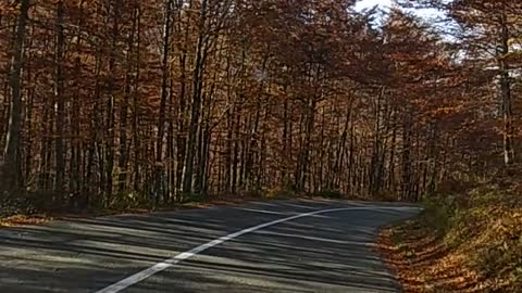 autumn in Montenegro