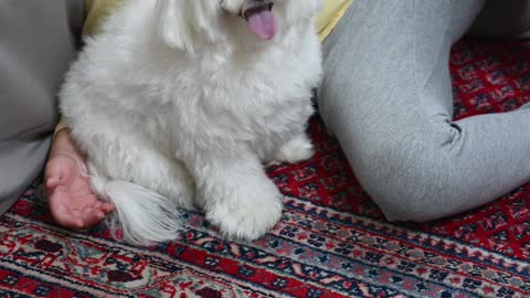 My baby with his best friend