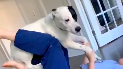 Girl sex with dog romance video