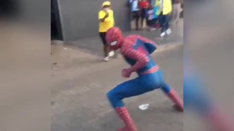 Spiderman takes a vacation in South Africa