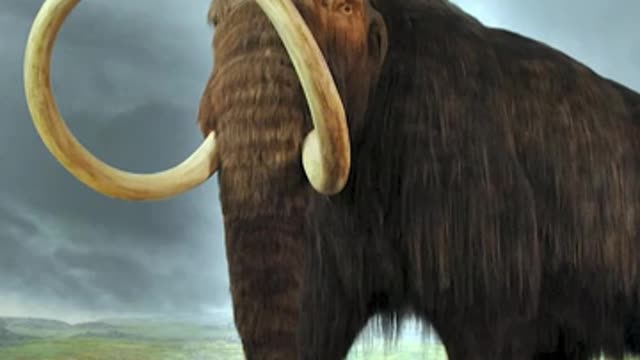 Amazing Facts about Extinct animals | FactStar