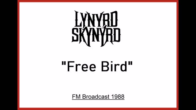 Lynyrd Skynyrd - Free Bird (Live in New York 1988) Beautiful Instrumental