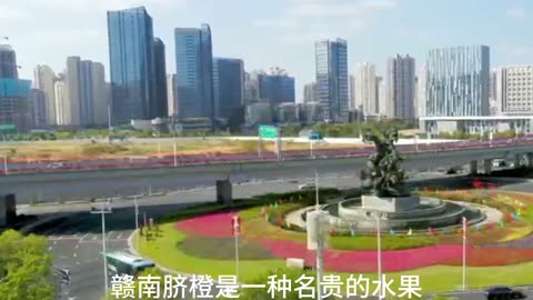 中国赣南脐橙之乡