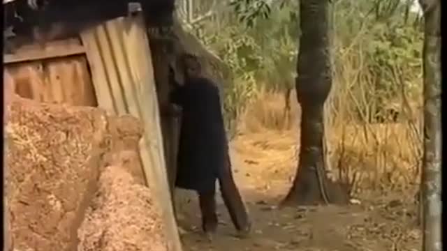 OSUOFIA DON CAUSE PROBLEM BEST COMEDIES SKIT FUNNY VIDEOS NIGERIAN COMEDY 2021