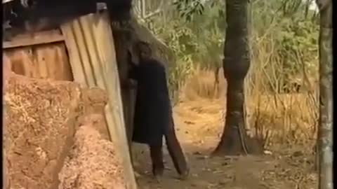 OSUOFIA DON CAUSE PROBLEM BEST COMEDIES SKIT FUNNY VIDEOS NIGERIAN COMEDY 2021