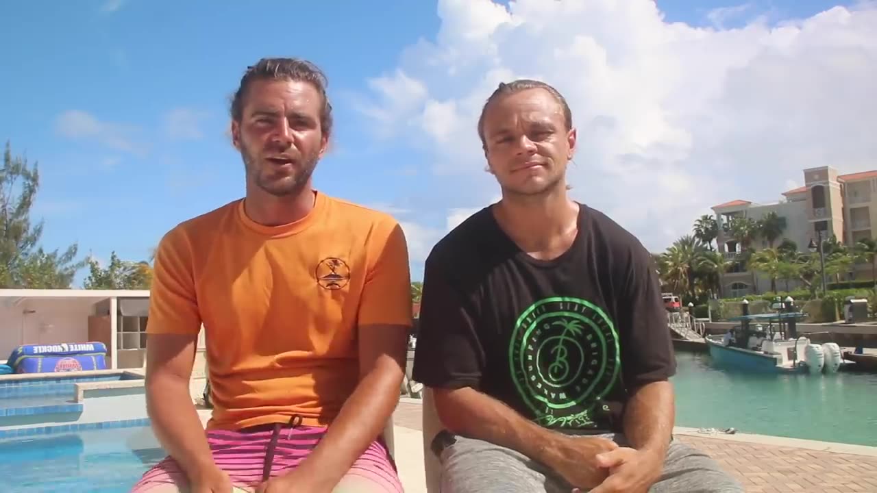We Made Lifelong Friends With A Wild Dolphin Family