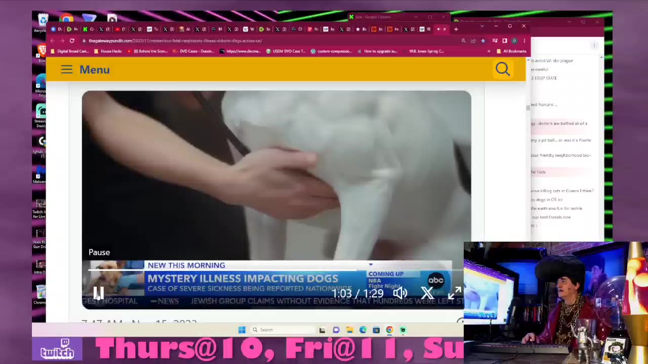 Oh no! A mysterious dog respitory disease is going around!