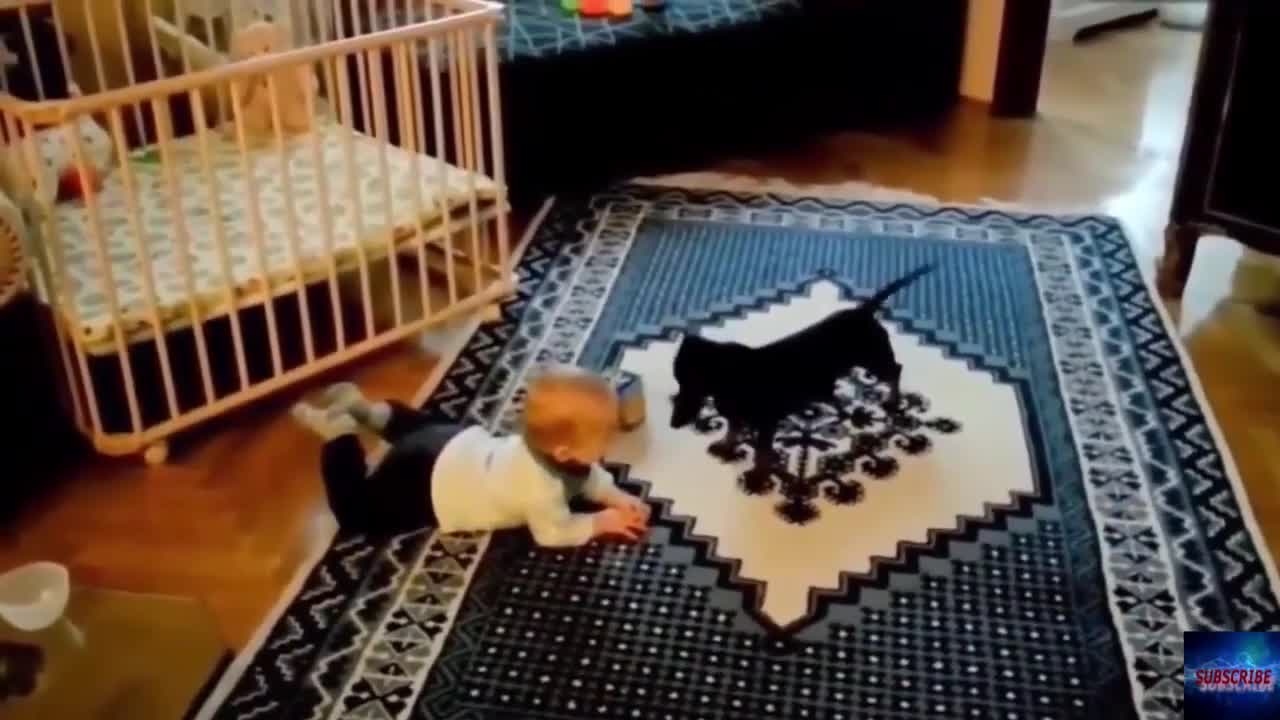 Best Babies and Animals Videos Funny Babies Compilation!