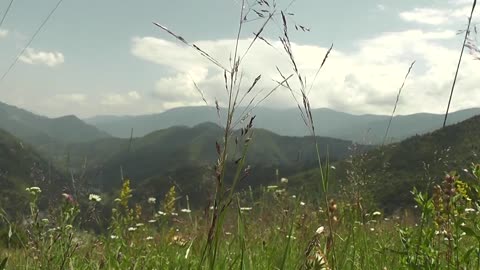 ###Green land, Free video - No copyright.mp4##