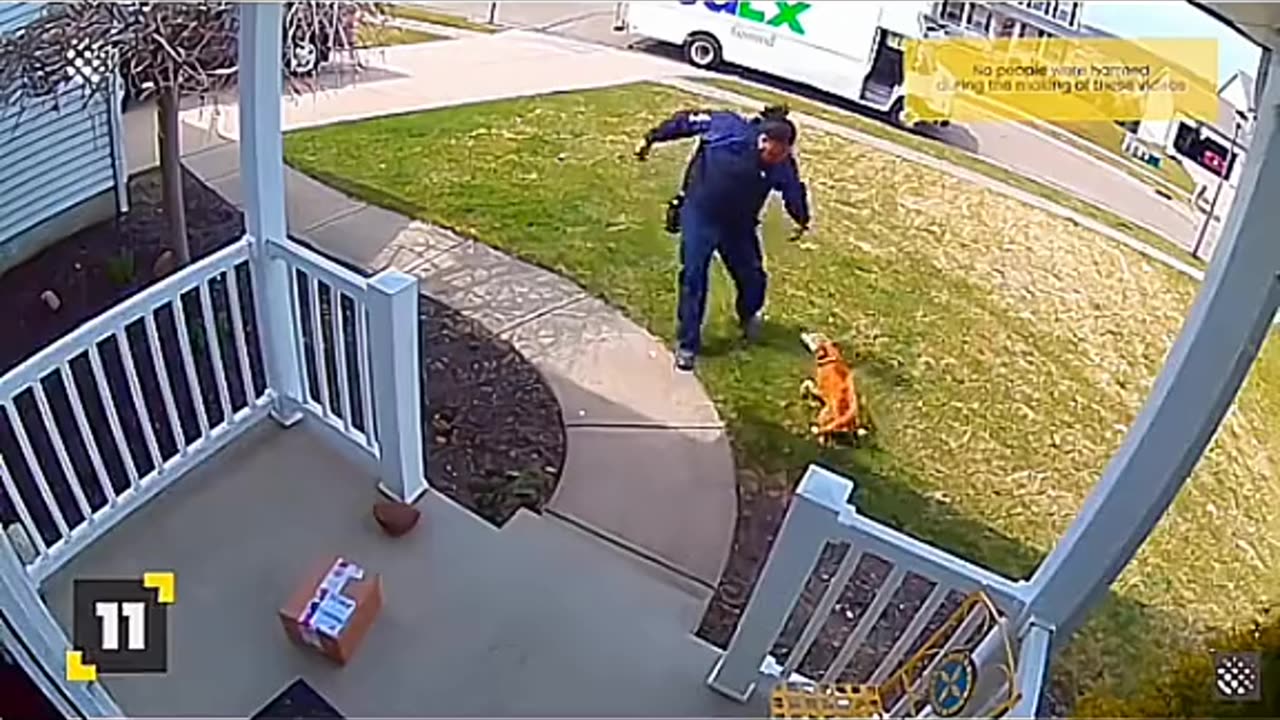 When The Delivery Staff Confronted The Dog