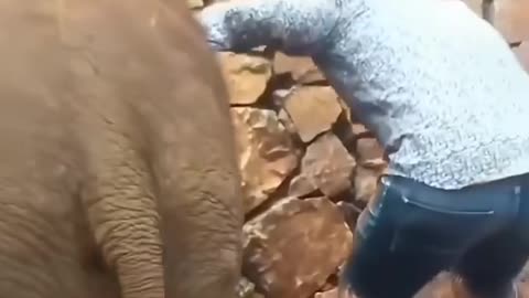 Funny animal videos😂😂😂
