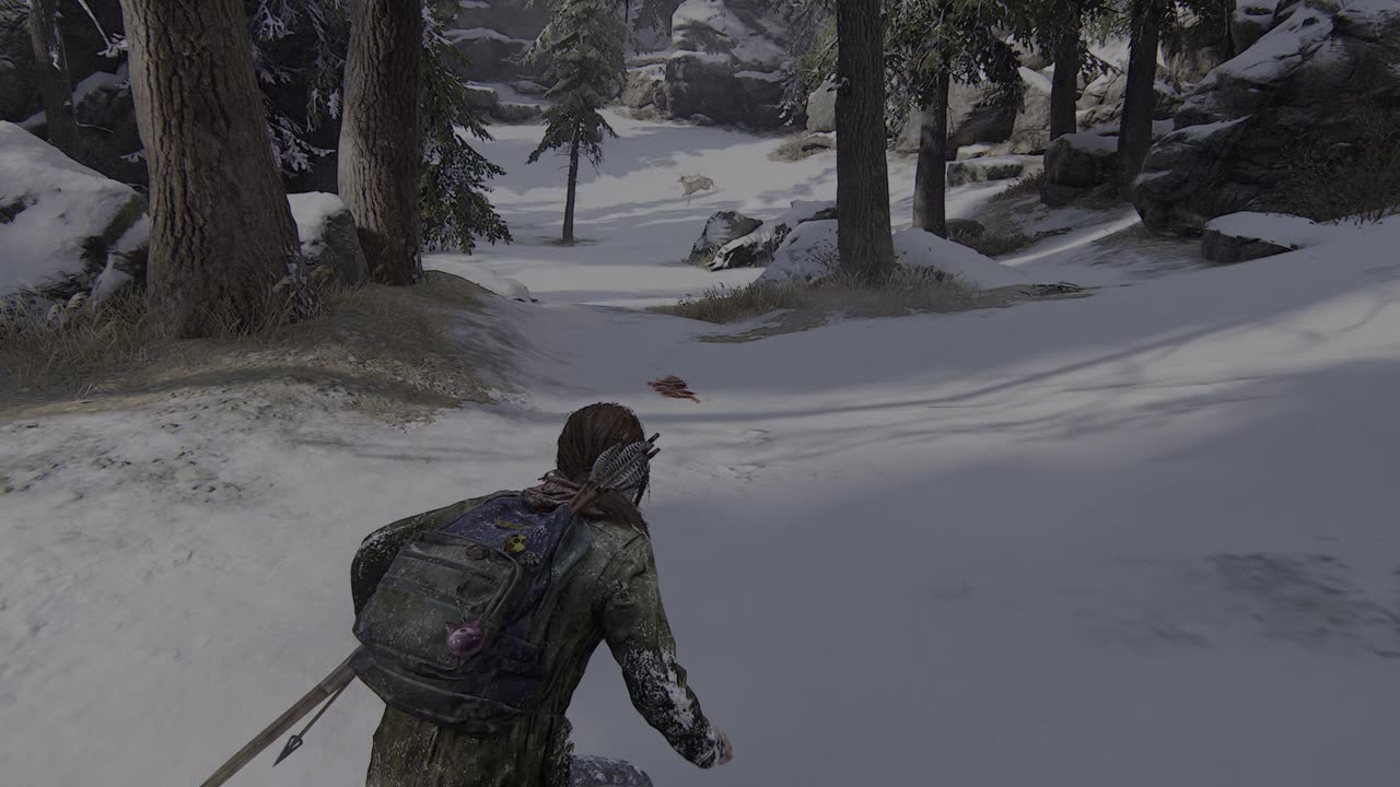 The Last Of Us Part 1 - 17