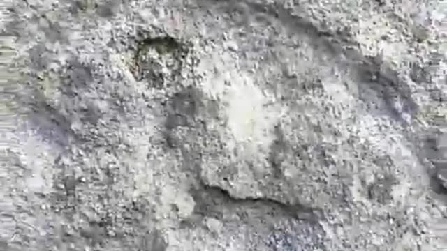 Свастика (санскрит: स्वस्तिक [svástika] — „добробит“) ј