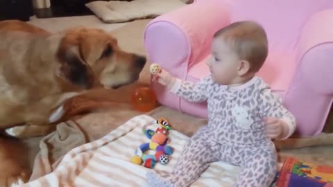 Cute Baby Kidding a Giant Dog