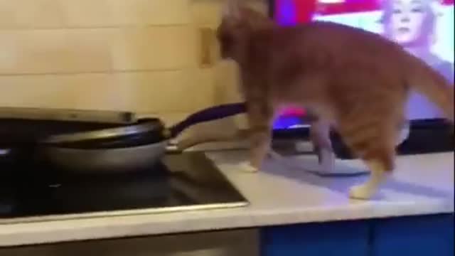 The family will not die of hunger ... will die of a heart attack