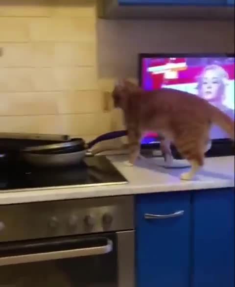 The family will not die of hunger ... will die of a heart attack