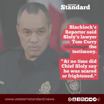 Witness claims former Police Chief Sloly was 'scared' of Freedom Convoy