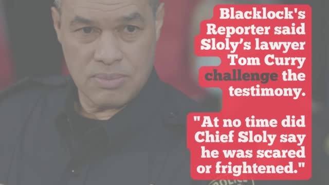 Witness claims former Police Chief Sloly was 'scared' of Freedom Convoy