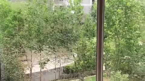 Do you clean your windows by hand
