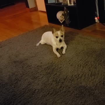 Doing The Belly Crawl