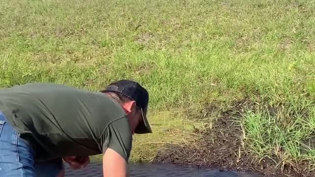 Gator Catchin'!