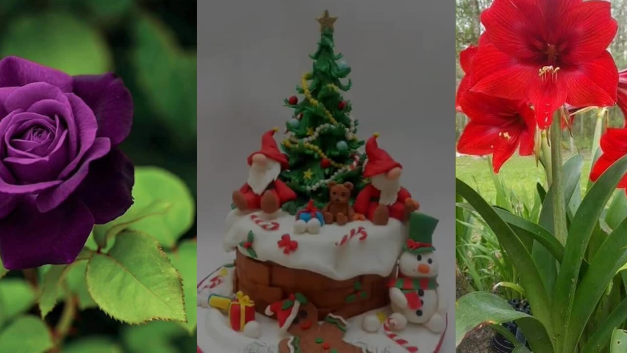 Christmas Cake Dacoration Idea