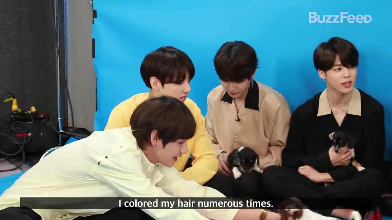 BTS Plays With Puppies While Answering Fan Questions