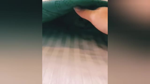 Cute_and_Funny_Cat_and_Dog_Videos