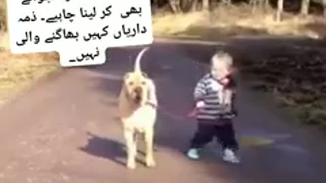 Dog & children full enjoyment in road