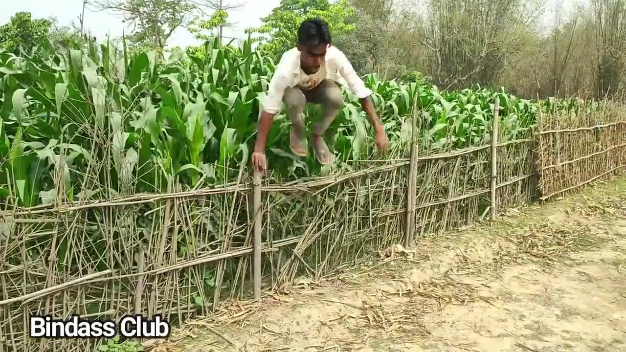 Best Amazing Funny Videos