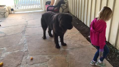 Mom Tells Her Little Girl To Say Goodbye To The Dog, Now Watch What They Do