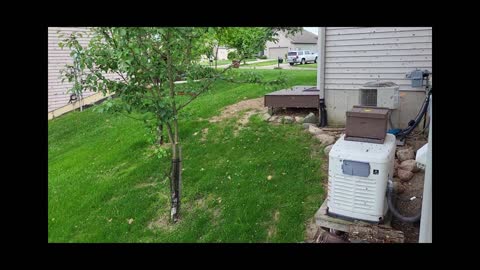 Honey Bee Swarm Catch 5/31/2022