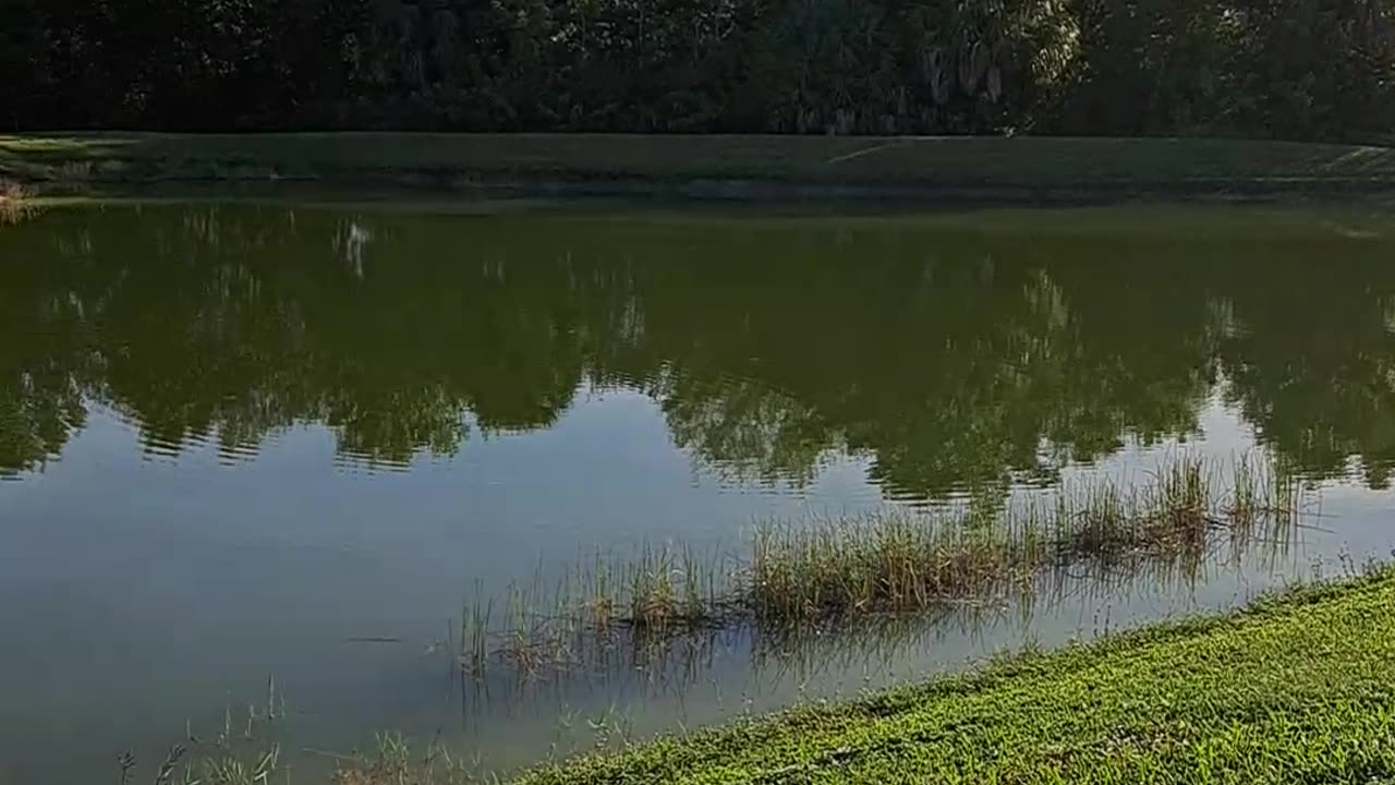 Clean Air Act of 1952 signed on December 5th. Naples, Fl 12/5/23