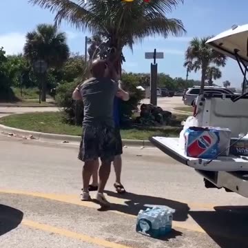 You will not believe adult also act like kid